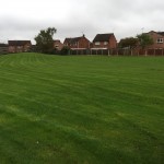 Grounds-Maintenance-3-150x150