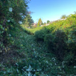 IMG_1132-150x150
