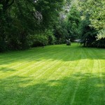 Royalty-Free-Lawn-Image-150x150