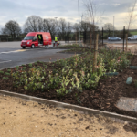 Soft-landscaping-services-150x150