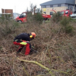 Vegetation-management-150x150